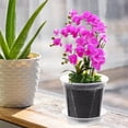 thumbnail image 4 of Breathable Slotted Clear Orchid Pots with Drainage Holes, Plastic Planter for Orchids, Phalaenopsis, Succulents, Moss, 4 of 5