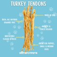 thumbnail image 2 of hotspot pets Turkey Tendons for Dogs, All Narural Made in The USA Turkey Tendons Dog Chews - Single Ingredient Rawhide Alternative Dog Treats for Small & Medium Breeds, 2 of 9