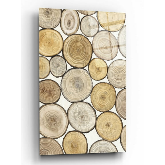 Epic Art 'Tree Ring Study I' by Tim O'Toole, Acrylic Glass Wall Art, 12"x16"