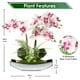 thumbnail image 2 of Orquídea Phalaenopsis Artificial Briful Rosa Claro de 38 cm, 2 of 6