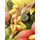 thumbnail image 1 of AB Fairy dust Disney diamante imagen campana bordado Pinocho bordado cruz Elsa toy story mosaico completamente redondo decoración del hogar, 1 of 5