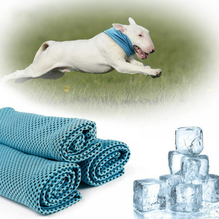 FuzzYard Ice Ice Puppy Cooling Cat & Dog Bandana 