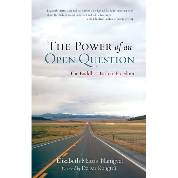 The Power of an Open Question : The Buddha's Path to Freedom (Paperback)