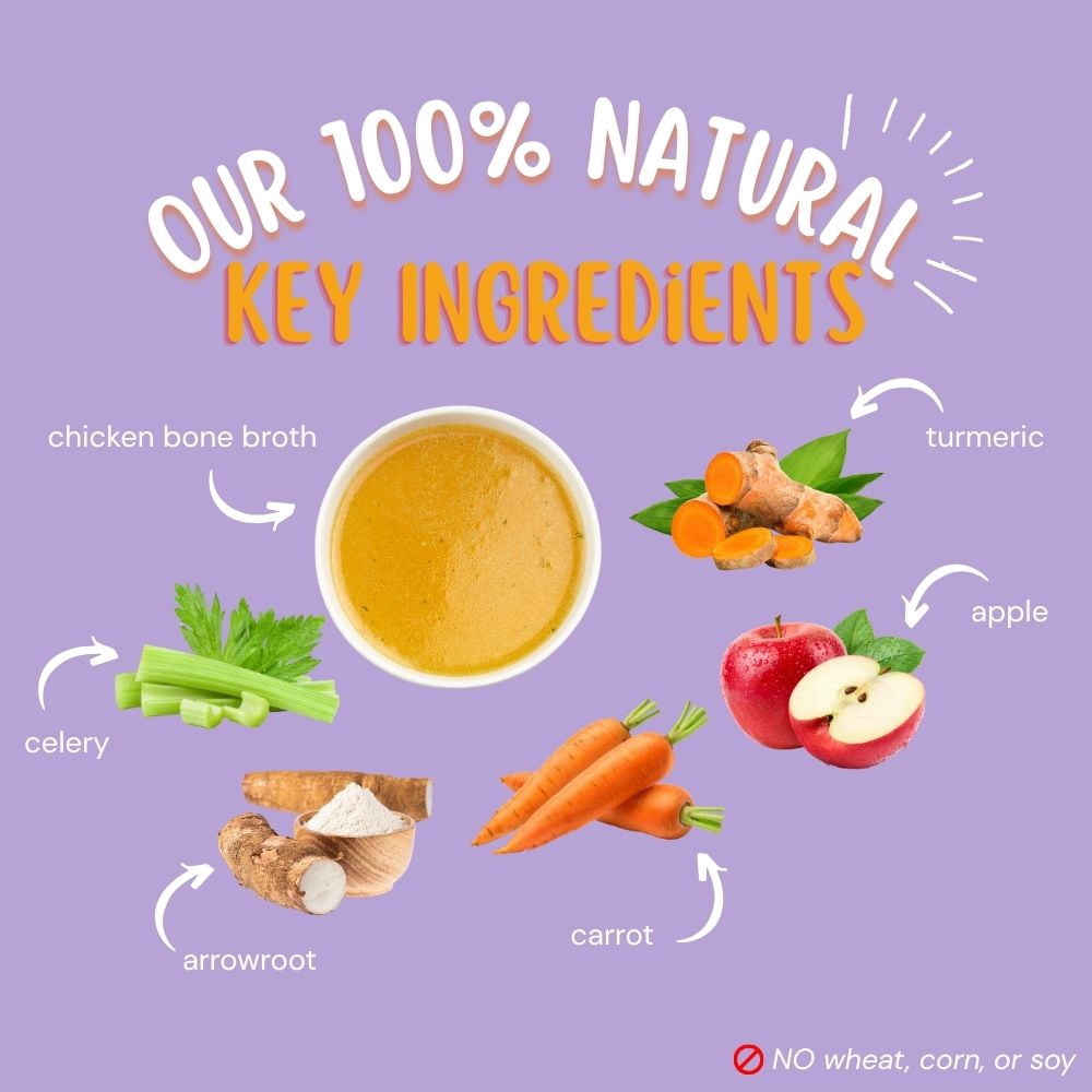 Café Nara Grain-Free Chicken Broth Wet Food Topper for Dogs & Cats - 100% Natural, Healthy Hydration - 1.1 lbs (Pack of 12)