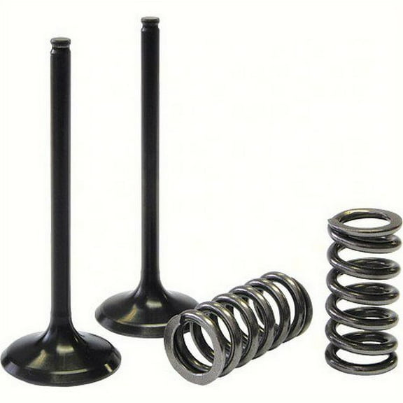 ProX  28.SIS1337-2; Steel Intake Valve / Spring Kit