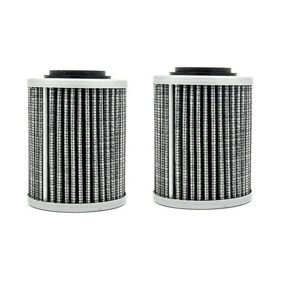 2X 420956124 Oil-Filter for 2017 Expedition LE 600 900 1200