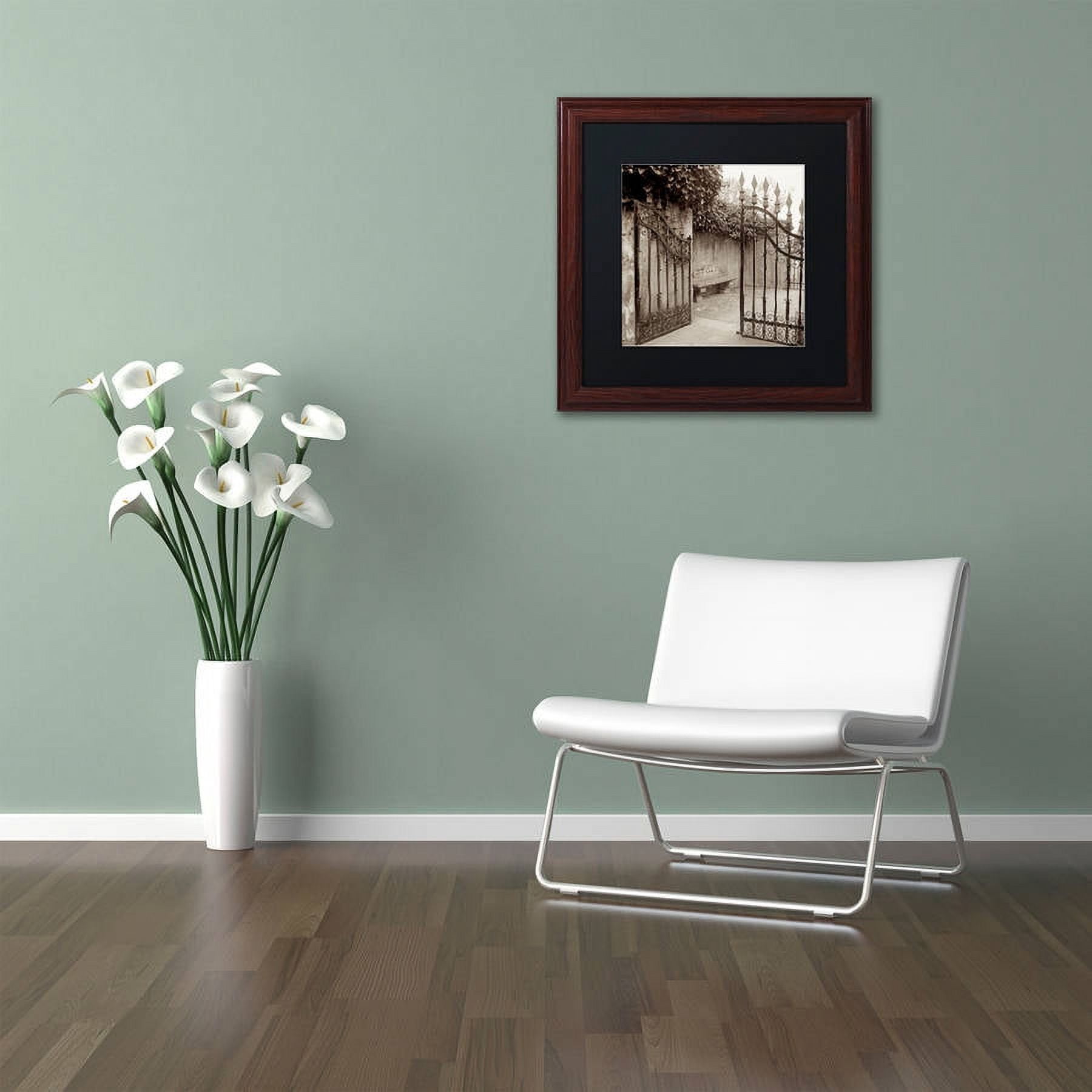 Trademark Fine Art "Avignon I" Canvas Art by Alan Blaustein, Black Matte, Wood Frame