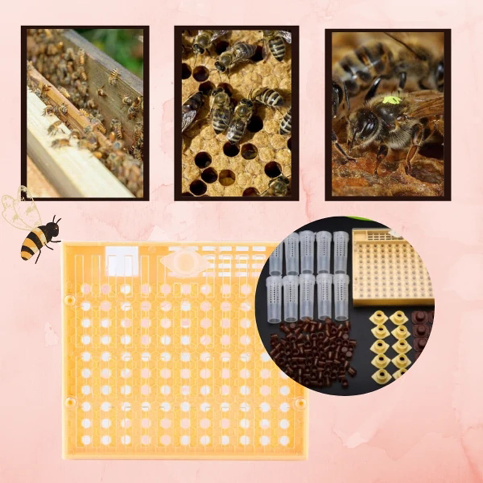 131pcs Bee Queen Rearing Cupkit Box System Beekeeping Cage Cell Cup Kit 