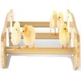 thumbnail image 1 of Mini Chick Perch With Mirror, Mini Chick Roost, Strong Bamboo Roosting Bar For Coop Brooder Training Perch Toys, 1 of 5