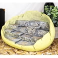 thumbnail image 2 of Jurassic Wyrmling Dragon Hatchling Cracked Egg Miniature Display Stand Statue, 2 of 5