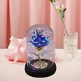 thumbnail image 4 of DefiDgd Valentine's Day Rose Gifts for Women,Glass Rose Flower Light Up Rose in Glass Dome,Birthday Xmas Valentines Gifts for Women Mom Wife Grandma(B), 4 of 7