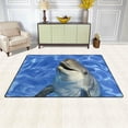 thumbnail image 3 of Coolnut Area Rug 60 x 39 inch (5'x 3'3"), Carpet Portrait of Dolphin Nursery Rug Floor Mat for Hardwood Floor Entrance Living Room Bedroom, 3 of 6
