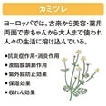 thumbnail image 5 of SHISEIDO Super Mild Hair Conditioner 600ml, 5 of 5