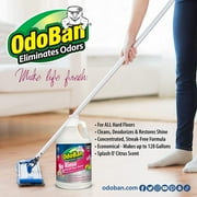 OdoBan Pet Solutions No Rinse Neutral pH Floor Cleaner Concentrate, 2 Gallons