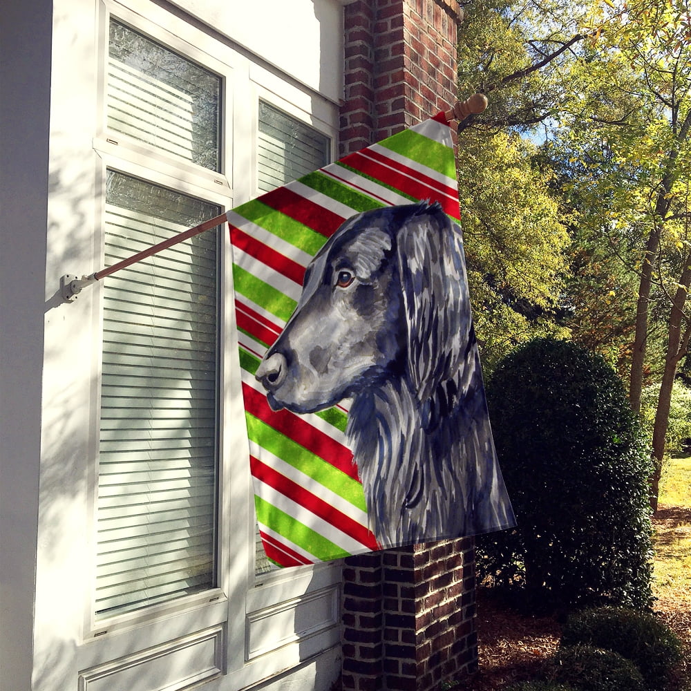 Carolines Treasures LH9231-FLAG-PARENT Flat Coated Retriever Candy Cane Holiday Christmas  Flag  multicolor