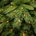 thumbnail image 2 of National Tree Company Pre-Lit Artificial Giant Medium Christmas Tree, Green, Tiffany Fir, White Lights, Includes Stand, 12 Feet, 2 of 5