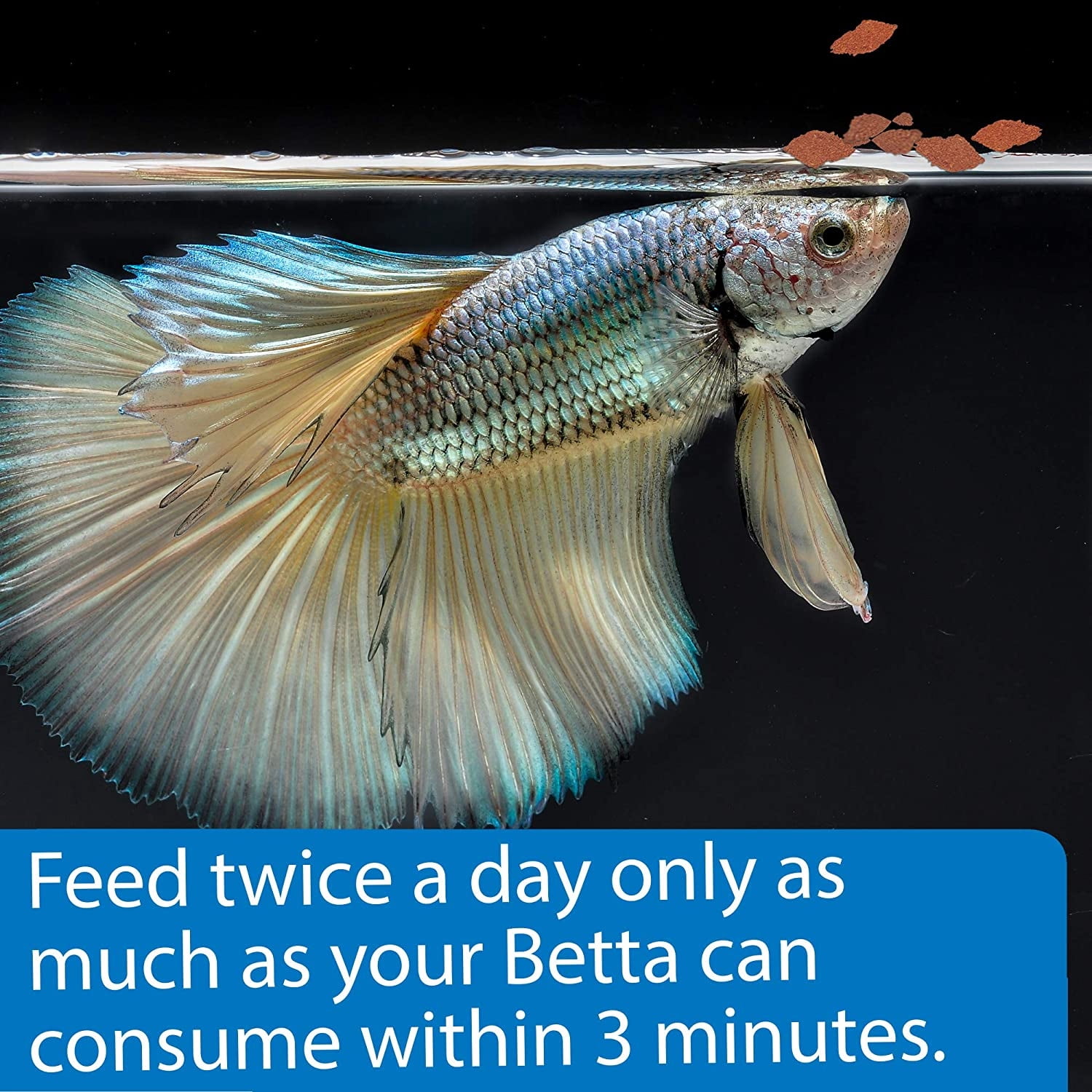API Betta Flakes Fish Food with Optimal Protein for Healthy Growth [Aquarium Betta Food, Aquarium Supplies] 2.16 oz (6 x 0.36 oz)