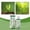 as show-Free Size/, variant on FHBVT 100ml Indoor Plants Propagation Drops Rooting Agent Liquid Root Growth Promoter Natural Formula Reduce Transplant Shock Healthy Plant Solution for Hydroponics Indoor Outdoor Plants