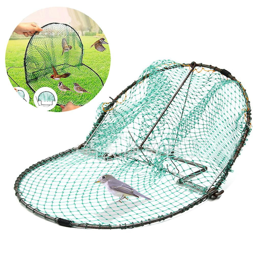 Trampa Para Pájaros Viva De 30 Cm - Jaula Humana Para Codornices Y Aves Pequeñas, Con Marco De Acero Y Malla De Polietileno