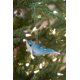 thumbnail image 4 of Gallerie Ii Cozumel Reef Dolphin Navidad Adorno De Navidad Azul, 4 of 5