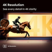 Hisense 65 Class 4K UHD LCD Roku Smart TV HDR R6 Series 65R6E4