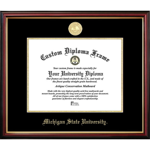 Michigan State Petite Diploma Frame