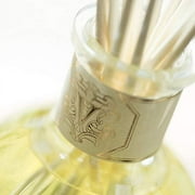 Dr. Vranjes Ginger and Lime Crystal Room Diffuser 500 ml
