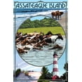 thumbnail image 1 of Assateague Island, Maryland, Montage (36x54 Giclee Gallery Art Print, Vivid Textured Wall Decor), 1 of 3