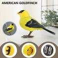 thumbnail image 2 of Voice Activated Bird Toy, Interactive Simulation Songbird, Voice Control Induction Bird for Kids, Educational Hand Eye Coordination Development Gift, Plastic Material, Battery Operated, 12x4.5x8.9cm, 2 of 4