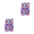 thumbnail image 1 of Ramos de Flores Secas Naturales Naiovety Tipo 3 2Conjunto, 1 of 6