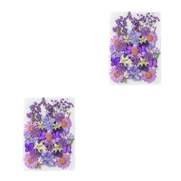 Ramos de Flores Secas Naturales Naiovety Tipo 3 2Conjunto