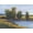 Unframed, variant on Art.com Tree's Reflection II Art Print by Tim O'toole, 32" x 24"
