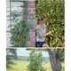 thumbnail image 5 of 4 Piezas Soporte para Plantas de Jardín Jaula para Cultivo de Tomates Jaula para Plantas Trepadoras, con 4 Piezas de Orejas de Autoriego y 1 Pieza de Línea de Amarre para Plantas con Flores, Suministros para Plantas Trepadoras de Tomate 54 cm oso de fresa Electrónica, 5 of 5