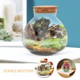 thumbnail image 3 of Minkissy Transparent Glass Terrarium Container with Cork Lid Ideal for DIY Ecological Micro Landscape, 3 of 8