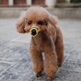 thumbnail image 5 of Dog Muzzle,adjustable Nylon Mesh Muzzle For Small Medium Large Dogs,prevent Biting Chewing And Licking, 5 of 5