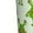 White, variant on Gukieu Cute green monster Print Men's Home Trousers, Elastic Drawstring Home Pajamas Clothing Suitable for Adult Men-Large