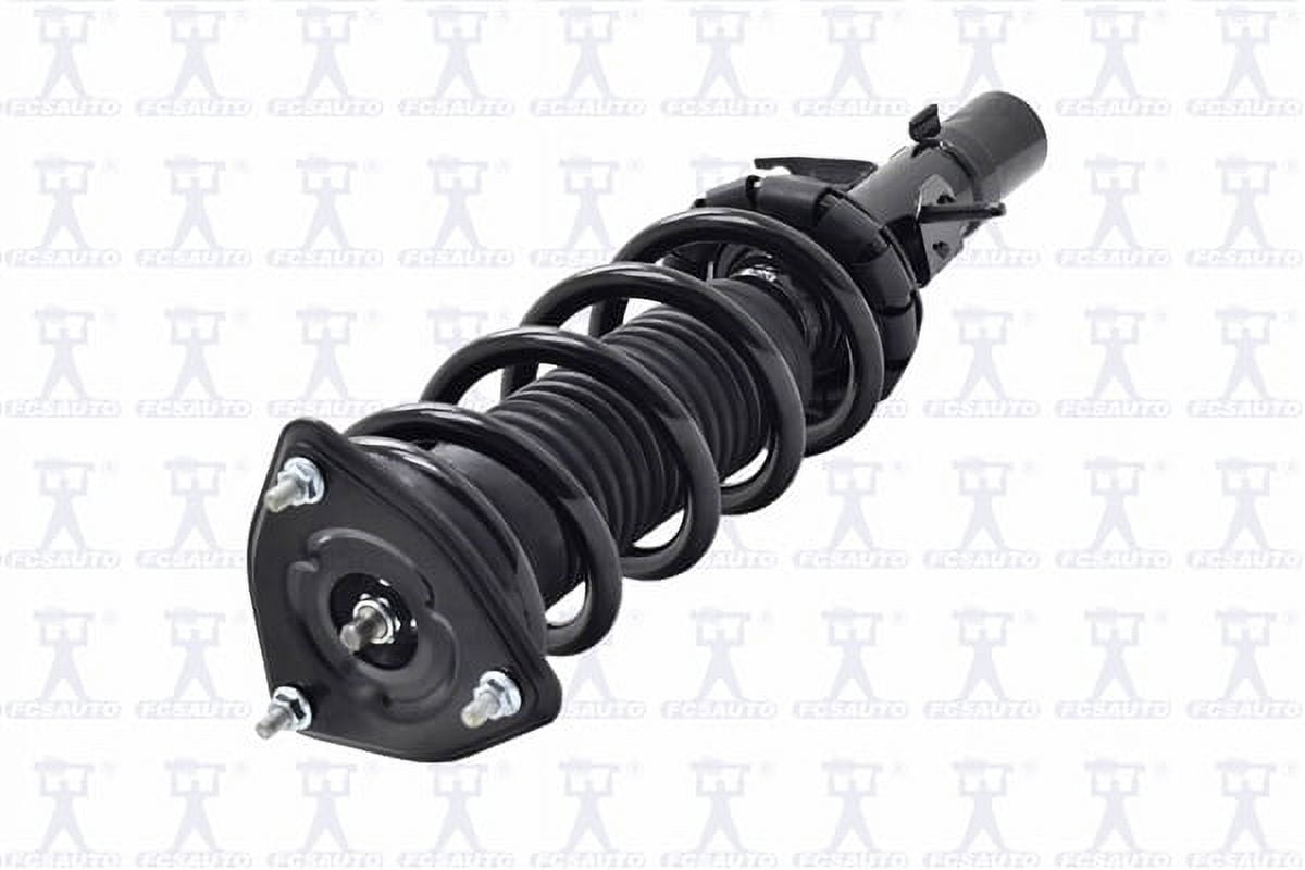 Suspension Strut and Coil Spring Assembly