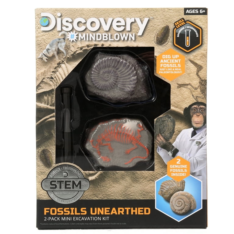 Discovery #Mindblown Fossil Unearthed 2-Pack Mini Excavation