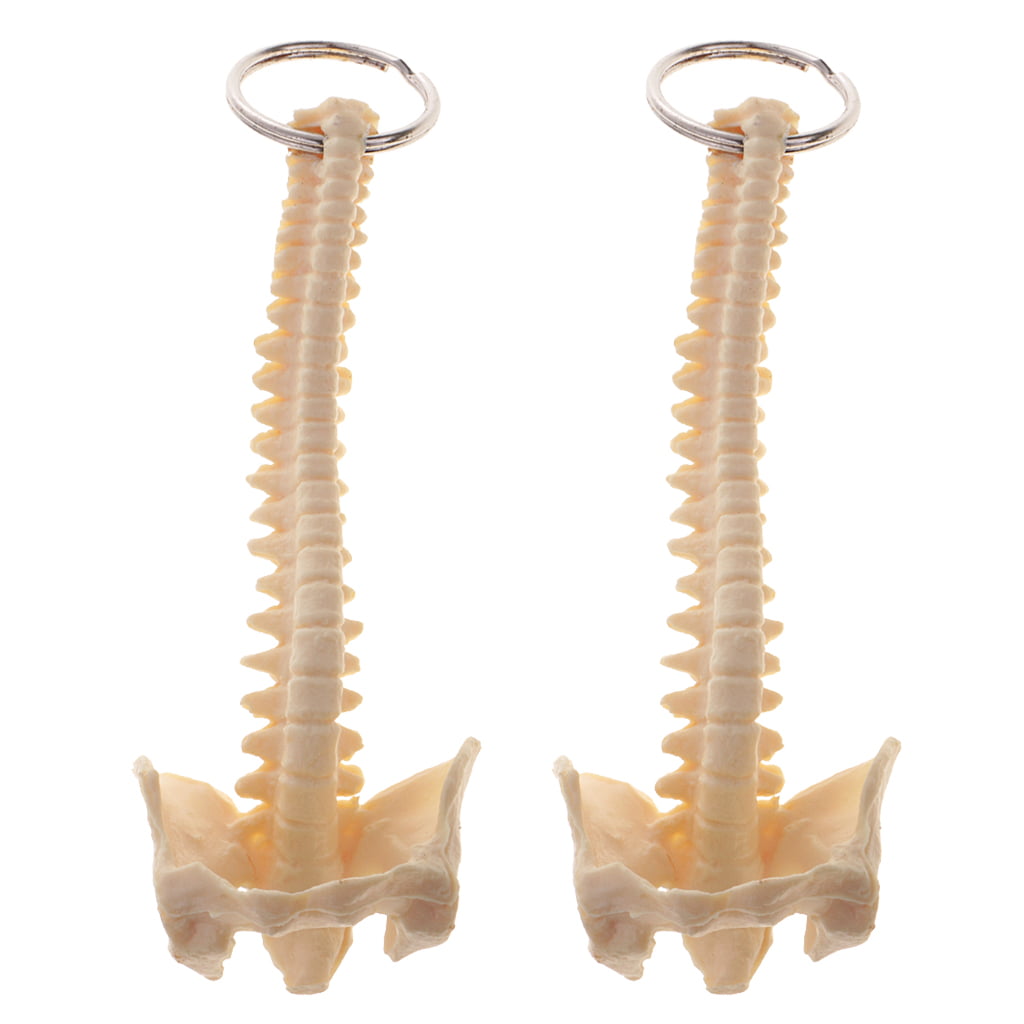 5pcs Miniature Beige PVC Human Spine Skeleton Model School Learning Keychain 