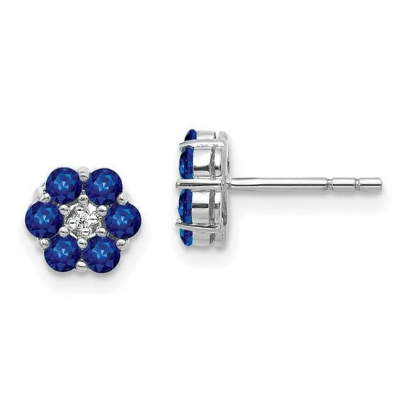 Primal Gold 14 Karat White Gold Polished Sapphire and Diamond Post Earrings