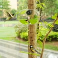 thumbnail image 2 of Large Capacity Automatic Bird Feeders With Smarted Timers Spirals Suction Cup for Garden/Yard Decoration, 2 of 9