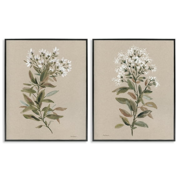 Stupell Industries Lovely White Floral Stem Plants & Flowers Painting Black Framed Art Print Wall Art, 11 x 14, Set of 2