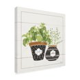 thumbnail image 2 of Trademark Fine Art 'Fine Herbs V Smiles' Canvas Art by Janelle Penner, 2 of 3