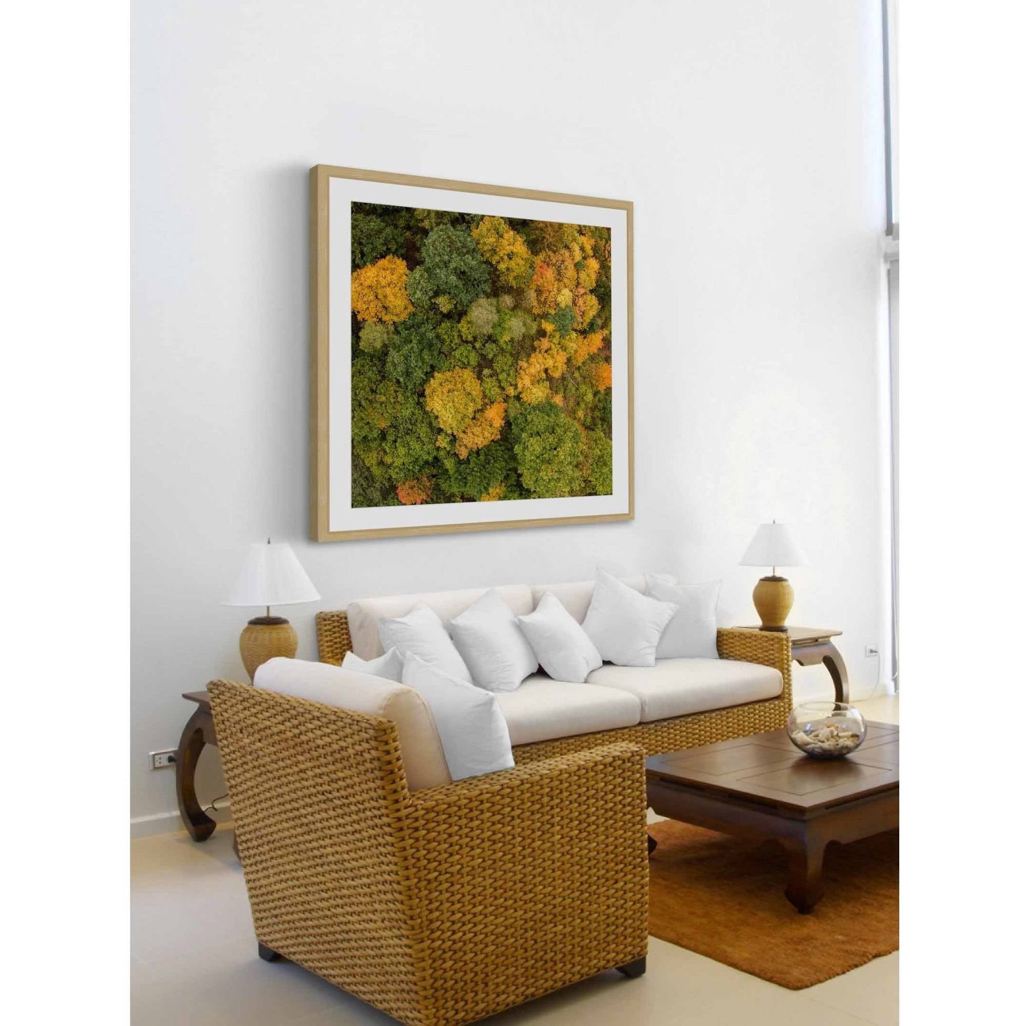 Marmont Hill "Bush Bunch" by Karolis Janulis Framed Painting Art Print