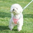 thumbnail image 6 of Soft Mesh Dog Harness and Leash Set for Walking, for Small Dogs and House Cats-Style 5&M, 6 of 6