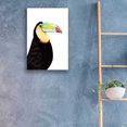 thumbnail image 3 of Epic Art 'Watercolor Toucan' by Naomi McCavitt, Acrylic Glass Wall Art, 16"x24", 3 of 3