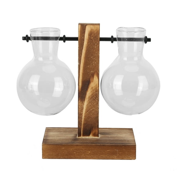 Vase à fleurs innovant avec support en bois - Vase hydroponique en verre transparent - Décoration de bureau de type C