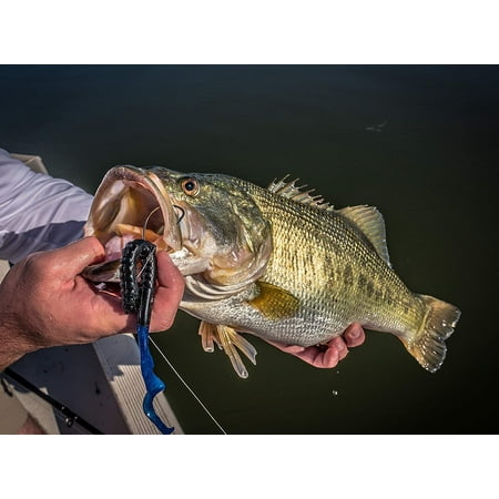 Berkley PowerBait Power Worms Freshwater Fishing Soft Bait