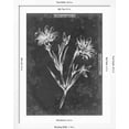 thumbnail image 5 of Art.com Slate Floral IV Art Print by Ethan Harper, White Frame Wall Art, 32" x 40", 5 of 5