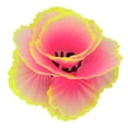 thumbnail image 4 of Simulation Coral Decoration Simulation Lettuce Coral Ornament Fluorescent Aquarium Decoration Aquarium Decoration Simulation Coral Decoration Fluorescent Fish  Plants Decoration, 4 of 8